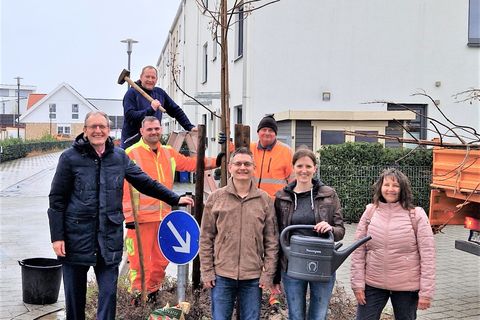 Unser Bild zeigt Bauhofleiter Marcus Schütterle (auf der Leiter) bei der Baumsicherung, unterstützt von Dennis Riehl und Peter Schneider sowie als Gäste Bürgermeister Dr. Ralf Göck, Nicole und Steffen von Steht und Klimaschutzmanagerin Birgit Sehls
