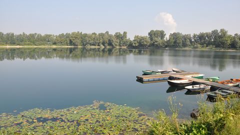 Anglersee Brühl